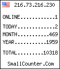 hit counter