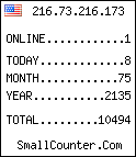 hit counter
