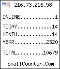 hit counter