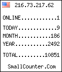 hit counter