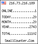 hit counter