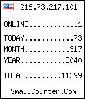 hit counter
