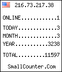 hit counter