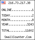 hit counter