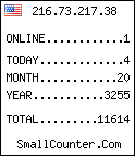 hit counter