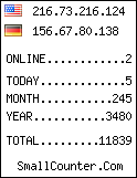 hit counter