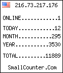hit counter